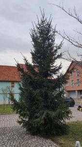 Feuerwehr-Nottleben-Weihnachtsbaum 24-29-21-29155-0-0 03