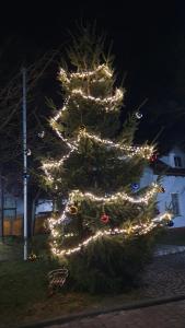 Feuerwehr-Nottleben-Weihnachtsbaum 24-29-21-29155-0-0 05